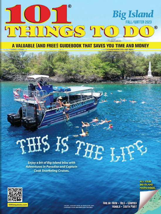 101 Things To Do Big Island