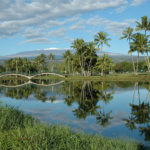 Wailoa Pond in Hilo