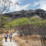 Visitors walk the path in front of Diamond Head