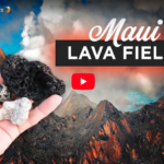 Maui Lava Fields