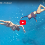 Snorkeling at Electric Beach