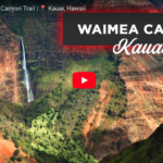 Waimea Canyon Trail hike on Kauai