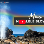 Nakalele Blowhole spouting water